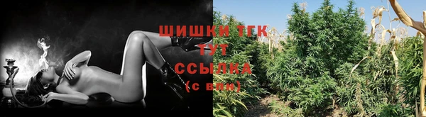 ешки Аркадак