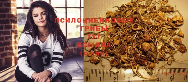 ешки Аркадак