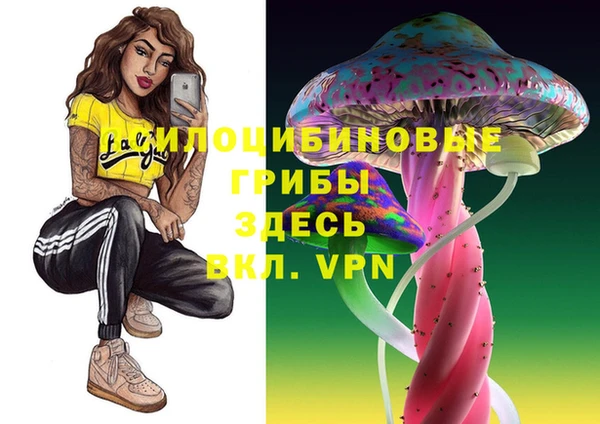 ALPHA-PVP Арсеньев
