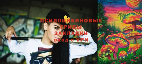 прущие грибы Армянск