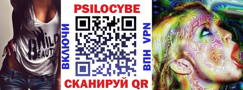 Галлюциногенные грибы Psilocybine cubensis  дарнет шоп  Балей 